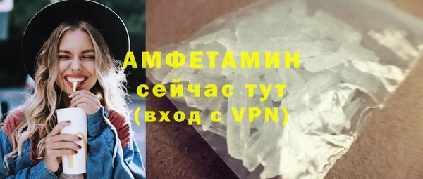 сатива Корсаков
