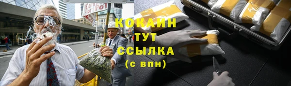 сатива Корсаков