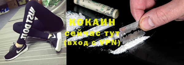 сатива Корсаков