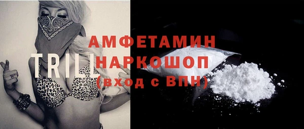 сатива Корсаков