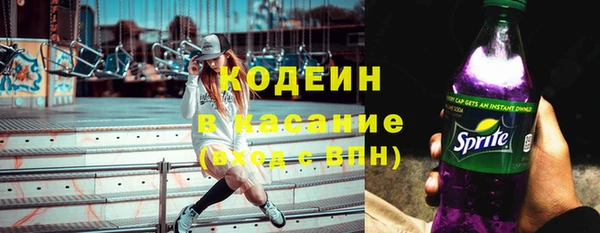 сатива Корсаков