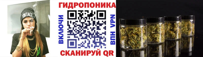Шишки марихуана MAZAR  магазин продажи   Сураж 